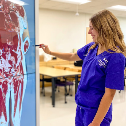 TCU nursing student evaluating human anatomy on life-size tablet